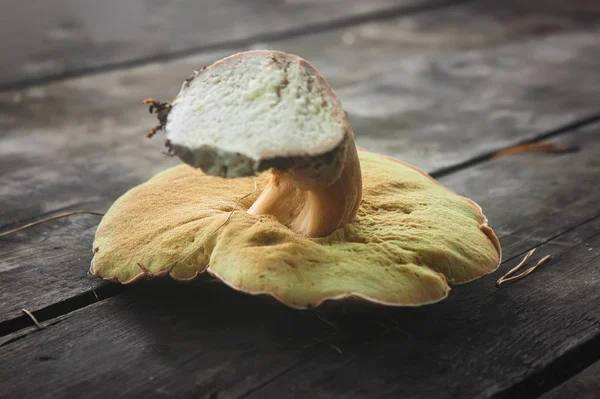 Boletus edulis. Färsk vit svamp på ett gammalt träbord. — Stockfoto