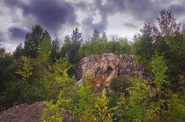 Orman kenarında gün batımı. Sonbahar manzarası.
