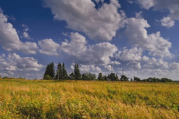 Paisagem rural de verão. Campo verde, floresta no horizonte e nuvens brancas no céu azul . — Fotografia de Stock