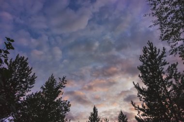 Gün batımında gökyüzü. Kümülüs bulutları batan güneşin ışınlarıyla aydınlatıldı.