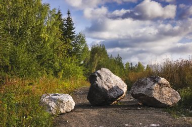 Büyük kaya taşları orman yolu yaz manzara blok.