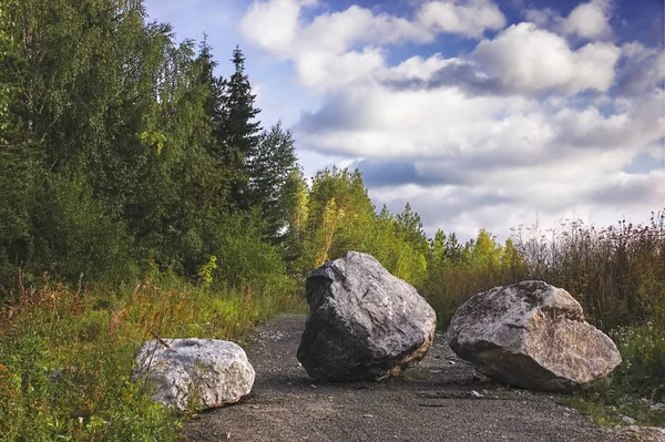 Büyük kaya taşları orman yolu yaz manzara blok.