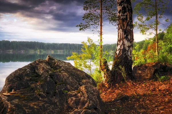 Solnedgång i skogen vid sjöns sommar landskap. — Stockfoto