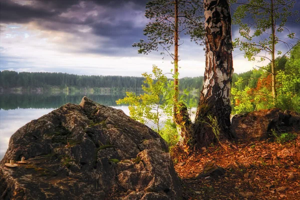 Sonnenuntergang im Wald an der Seenlandschaft. — Stockfoto