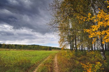 Orman kenarında gün batımı. Sonbahar manzarası.