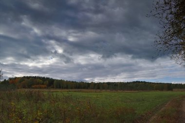 Orman kenarında gün batımı. Sonbahar manzarası.