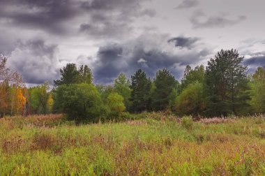 Orman kenarında gün batımı. Sonbahar manzarası.