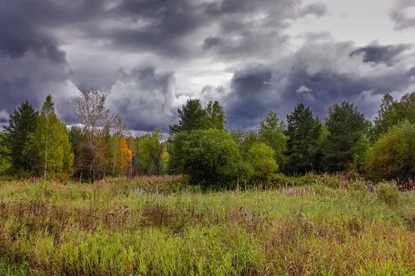 Orman kenarında gün batımı. Sonbahar manzarası.