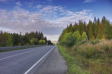 Ormanın ortasındaki otoyol. Kozalaklı ormanda gün batımında sonbahar manzara. Sonbahar ormanında yol.