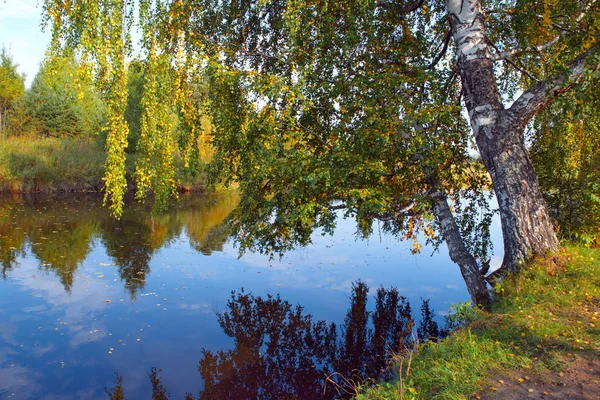 Paisagem de outono nas margens de um rio da floresta em um dia quente ensolarado . — Fotografia de Stock