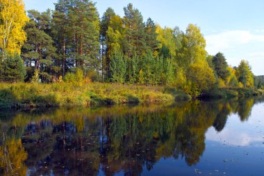 Güneşli sıcak bir günde bir orman nehri kıyısında Sonbahar manzara.