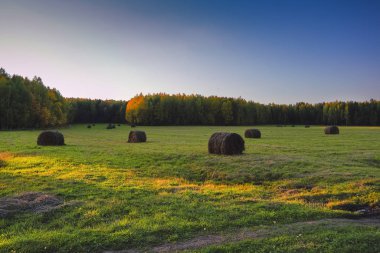 Kırsal peyzaj ufukta orman ve dağların arka plan karşı çayır biçilmiş. Erken sonbahar.