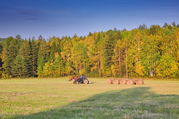 Vidéki táj talajműveléssel rét a háttérben az erdő és a hegyek a láthatáron. Kora ősz. — Stock Fotó