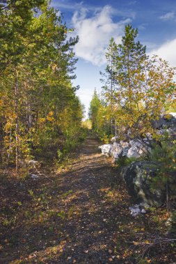 Gökyüzü ve bulutlara karşı dağlarda orman ağaçlarının Sonbahar manzara çok renkli yeşillik.