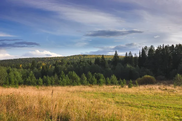 Puesta de sol en el borde del bosque. Paisaje otoñal . — Foto de Stock