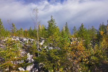 Gökyüzü ve bulutlara karşı dağlarda orman ağaçlarının Sonbahar manzara çok renkli yeşillik.