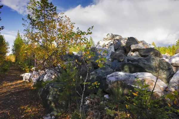 Paysage automnal feuillage multicolore d'arbres forestiers dans les montagnes contre le ciel et les nuages . — Photo