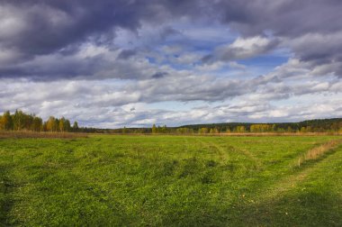 Kırsal peyzaj ufukta ormanın arka plan karşı çayır biçilmiş. Erken sonbahar.