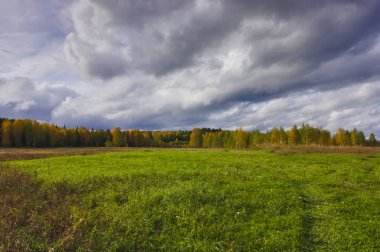 Kırsal peyzaj ufukta ormanın arka plan karşı çayır biçilmiş. Erken sonbahar.