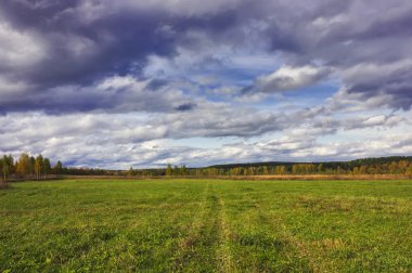 Kırsal peyzaj ufukta ormanın arka plan karşı çayır biçilmiş. Erken sonbahar.