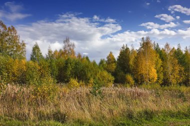 Gökyüzü ve bulutlara karşı dağlarda orman ağaçlarının Sonbahar manzara çok renkli yeşillik.