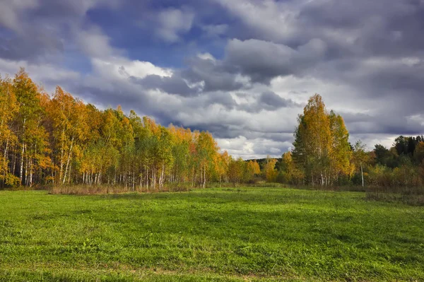 Paisaje rural prado segado contra el fondo del bosque en el horizonte. Principios de otoño . — Foto de Stock
