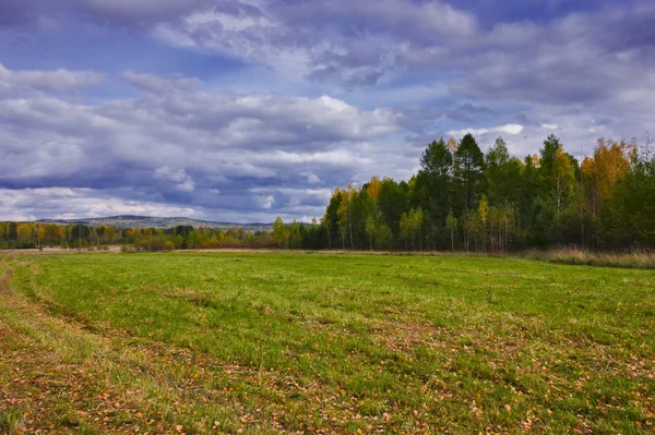 Vidéki táj talajműveléssel rét a háttérben az erdő a láthatáron. Kora ősz. — Stock Fotó