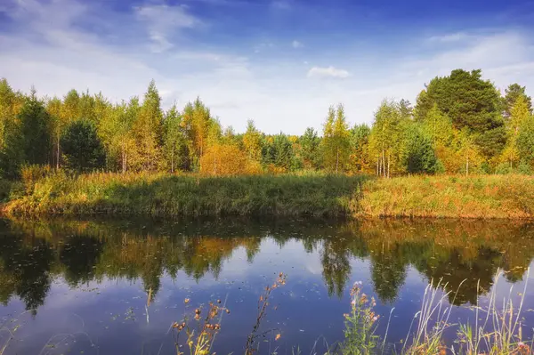 Güneşli sıcak bir günde bir orman nehri kıyısında Sonbahar manzara.