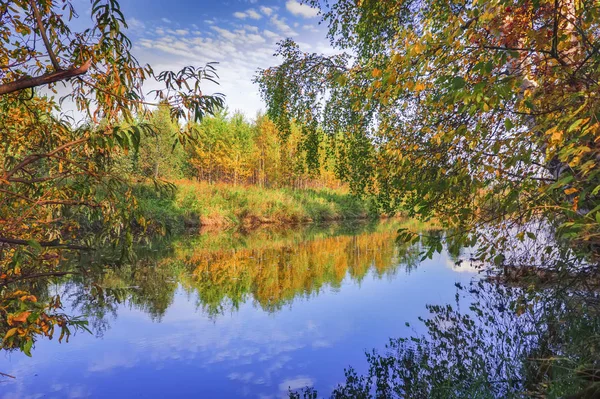 Paisagem de outono nas margens de um rio da floresta em um dia quente ensolarado . — Fotografia de Stock