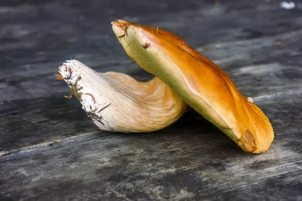 Champignon blanc frais sur une vieille table en bois. Champignons Boletus edulis sur un vieux fond de bois . — Photo