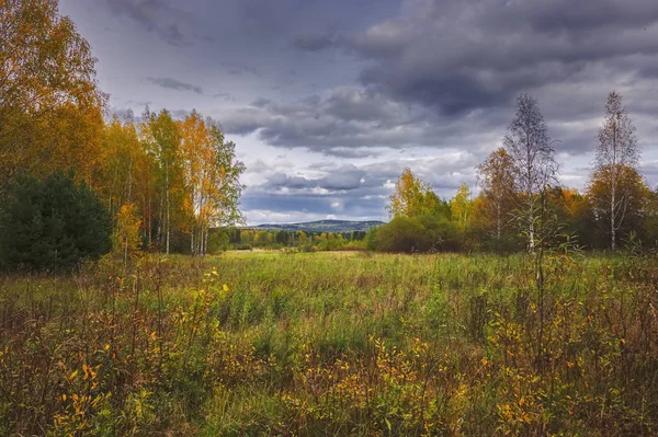 Paesaggio rurale prato falciato sullo sfondo della foresta all'orizzonte. Inizio autunno . — Foto Stock