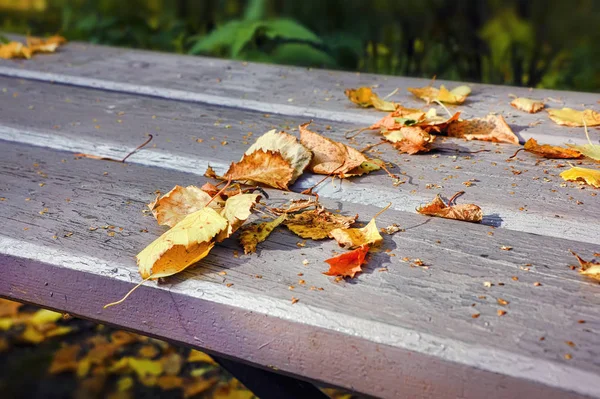 Folhas amarelas caídas em um banco no parque de outono . — Fotografia de Stock