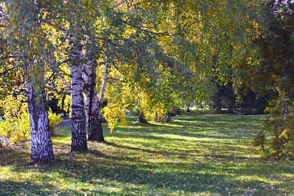 Herbstszene in einem Stadtpark an einem sonnigen Tag. nizhny tagil, swerdlowsk region, russland. — Stockfoto