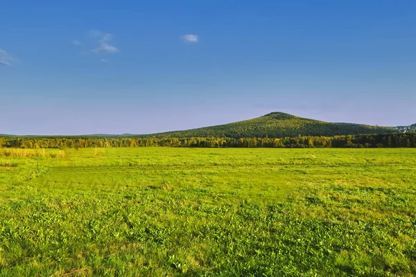 Paisaje rural prado segado contra el fondo del bosque y las montañas en el horizonte. Principios de otoño . — Foto de Stock