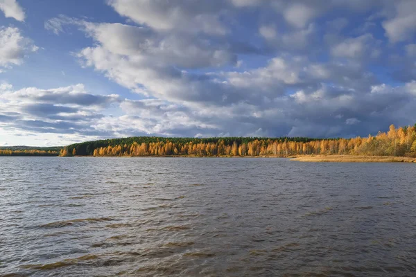 Осенний пейзаж на берегу лесного озера на фоне пожелтевшего леса и голубого неба с красивыми облаками . — стоковое фото