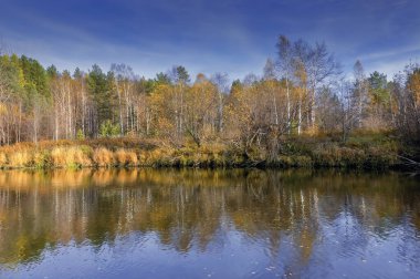Güneşli sıcak bir günde bir orman nehri kıyısında Sonbahar manzara.