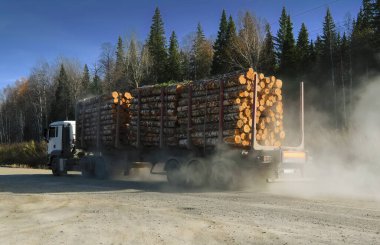 Büyük bir kamyon, orman ve mavi gökyüzüne karşı toprak yol boyunca taze kesilmiş kütükler taşıyor..