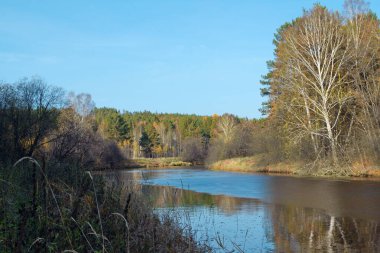 Ormanların ve dağların arka planında ağaçları yansıtan sonbahar nehri.