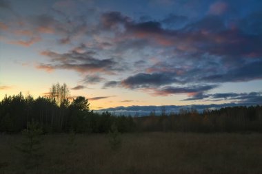 Sonbahar ormanında güzel bir günbatımı. Renkli manzara.