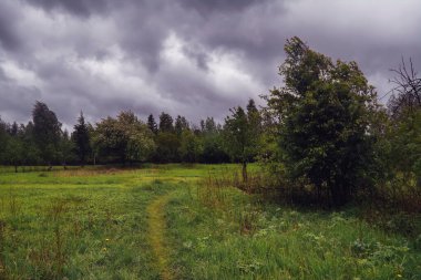 Ormanın arka planında yeşil çayır ve bulutlu gökyüzü..