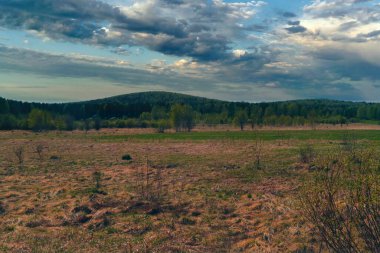 Erken bahar ağaçlarını gökyüzüne ve bulutlara karşı açık yapraklarla süsle.