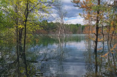 Yaz manzarası, orman ağaçları durgun nehir suyuna yansıyor mavi gökyüzü ve beyaz bulutların arka planına karşı.