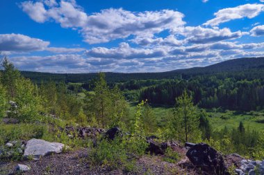 Çam ormanlı manzara ve bulutlu mavi gökyüzüne karşı yeşil çayır.