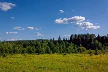Bulutlu mavi gökyüzüne karşı orman ve yeşil çayır manzarası.