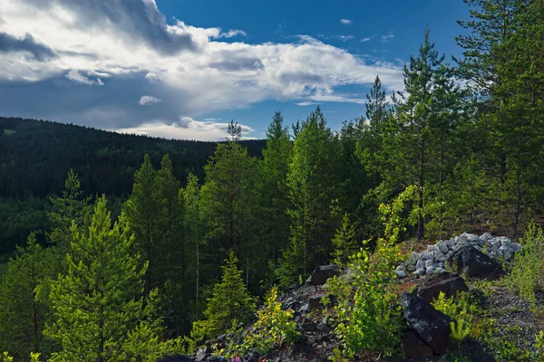 Paesaggio Estivo Montagna Uno Sfondo Foresta Cielo Nuvoloso — Foto Stock