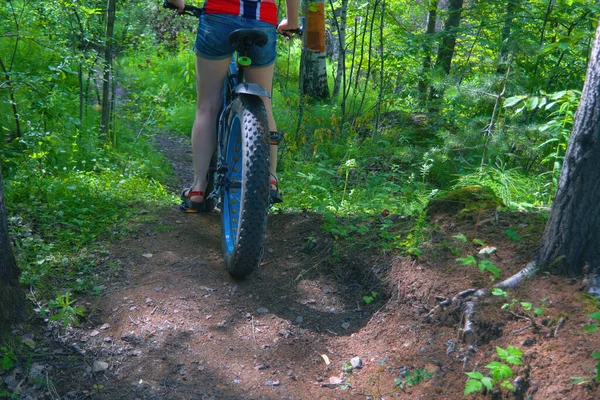 Uma Jovem Cavalga Longo Caminho Florestal Uma Bicicleta Gorda Dia — Fotografia de Stock