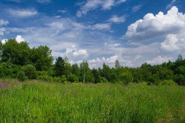 Bulutlu mavi gökyüzüne karşı orman ve yeşil çayır manzarası.