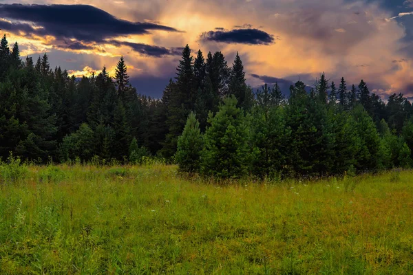 Paisaje Con Bosque Prado Verde Contra Cielo Nublado Atardecer — Foto de Stock