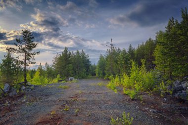 Dağların ormanında muhteşem bir günbatımı. Dramatik gökyüzü ve bulutlar. Ural Dağları.