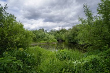 Ormanlı manzara ve bulutlu gökyüzüne karşı yeşil çayır.